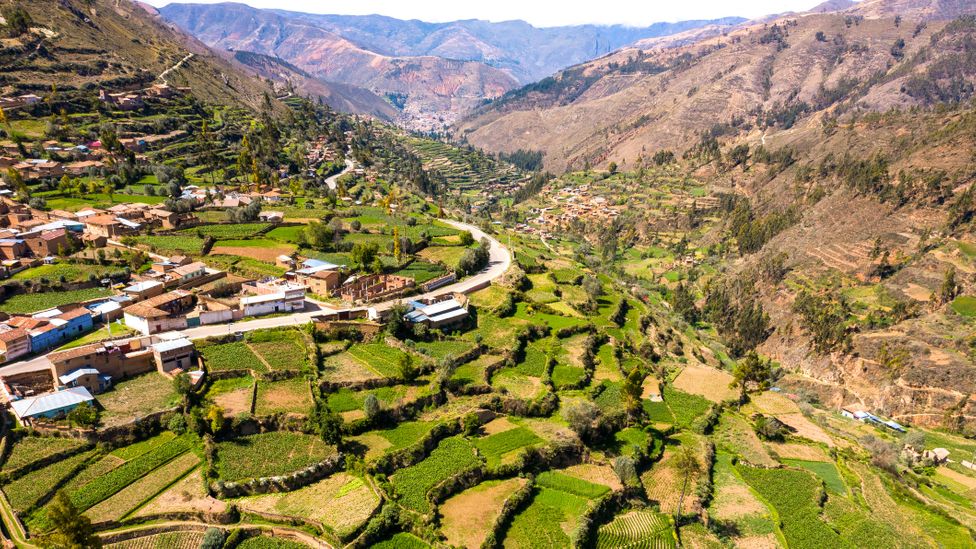Los campos en terrazas se pueden encontrar esparcidos por las empinadas laderas de los Andes centrales (Crédito: Christian Vinces / Getty Images)