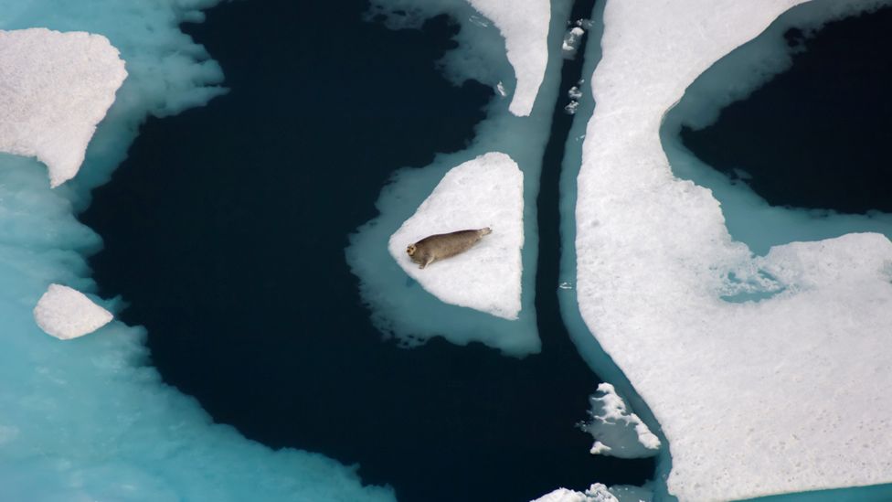 Koetzebue is 30 miles (48km) above the Arctic Circle (Credit: Alamy).