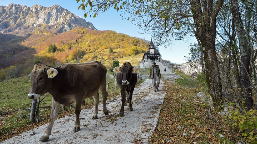 The Walk of Peace: Europe's Alps-to-Adriatic hiking trail
