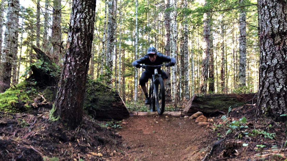 Mountain biking in the forests around Cumberland, Vancouver Island