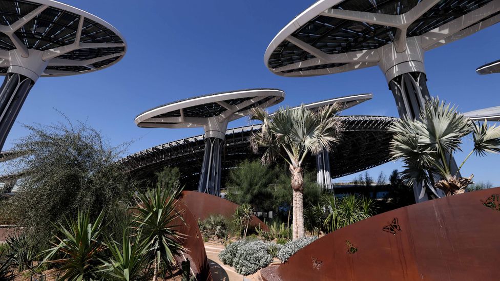 Giant solar "trees" help the Sustainability Pavilion generate energy as well as providing shade (Credit: Francois Nel/Getty Images)