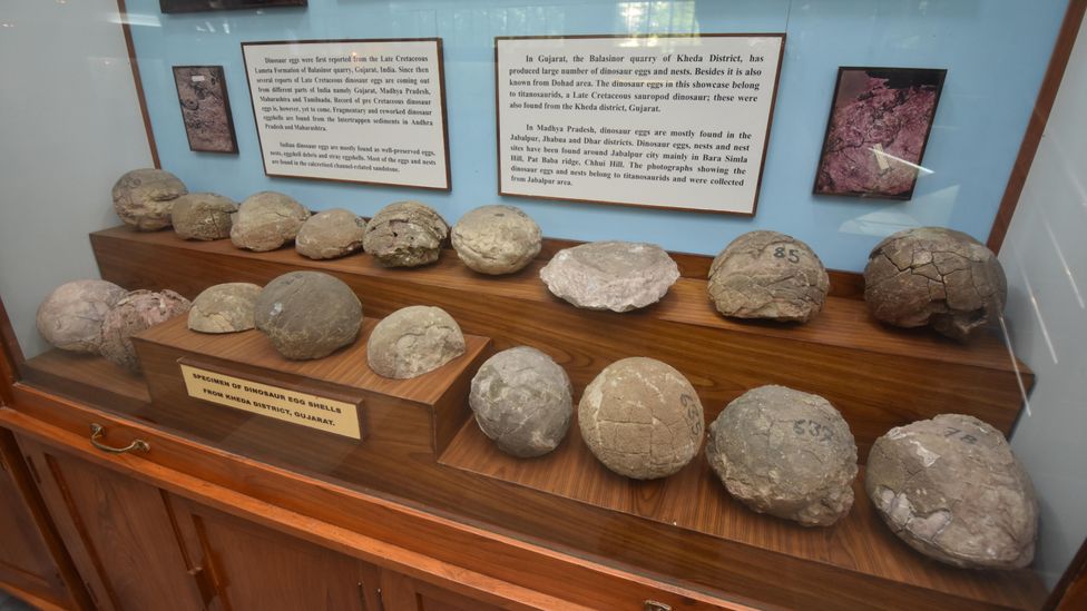 Hundreds of fossilised dinosaur nests have been found in India (Credit: Alamy)