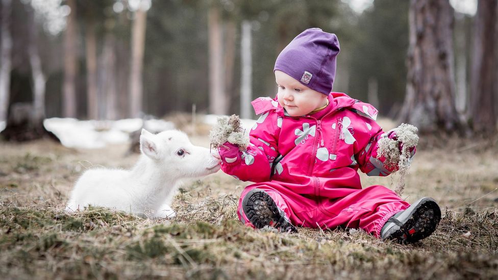 A unique parenting style prepares children for life in the Arctic  (Credit: Paadar Images)