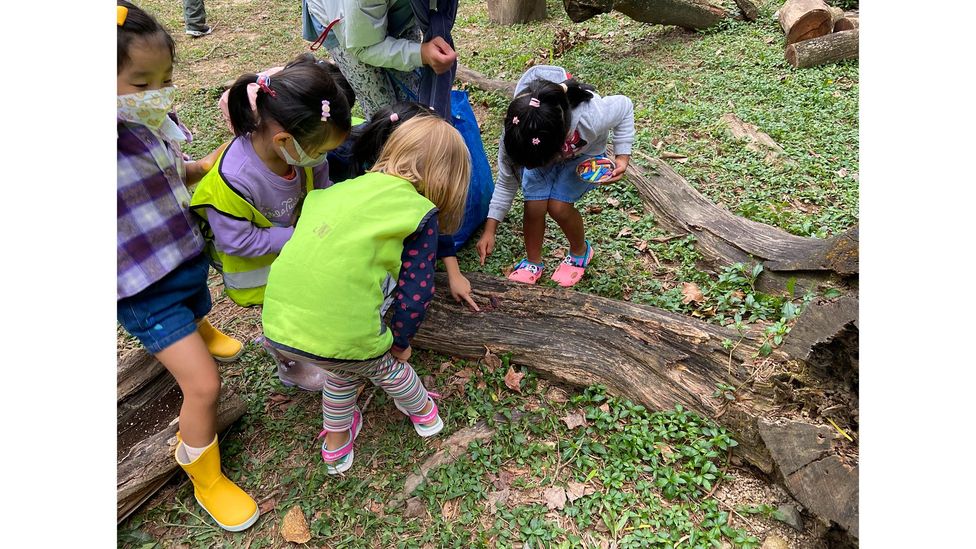 do-children-learn-better-in-forest-schools-bbc-future