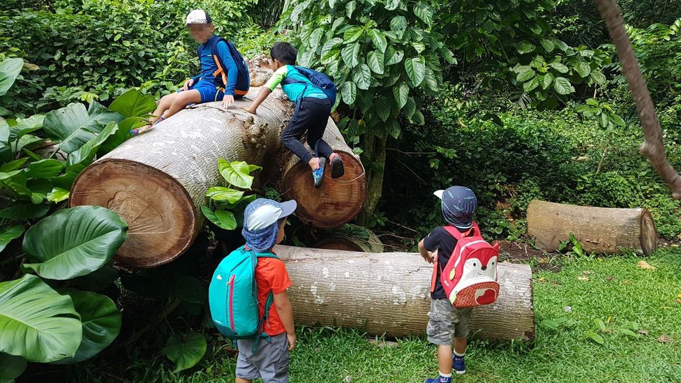 Forest schools are gaining popularity in Asia (Credit: Forest School Singapore)