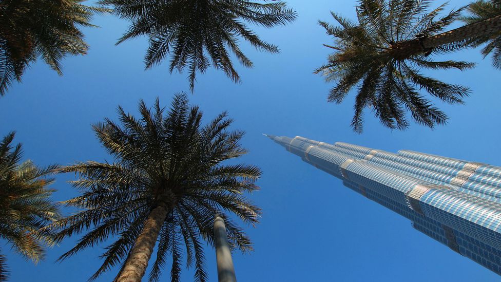 The Burj Khalifa skyscraper in Dubai contrasts with date palm trees at its base (Credit: Snapper Nick/Alamy)