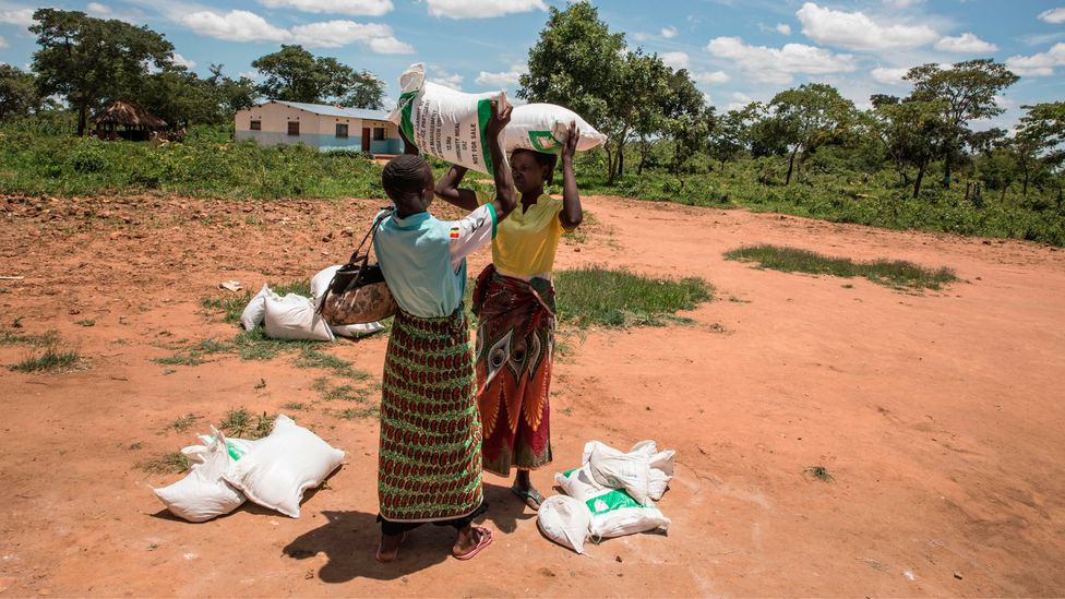 Two women in Zambia carry food bags distributed by aid organisations in January 2020 (Credit: Guillem Sartorio / Getty) Two women in Zambia carry food bags distributed by aid organisations in January 2020 (Credit: Guillem Sartorio / Getty)