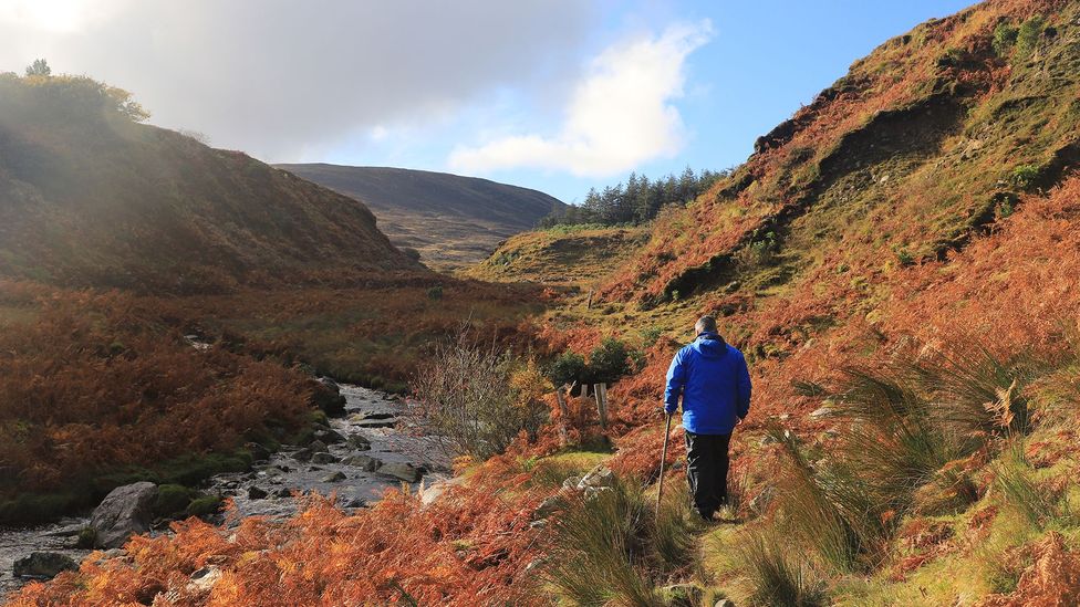 Michael Chambers, head guide at Wild Nephin National Park, leads a hike along the Altaconey River (Credit: Yvonne Gordon)