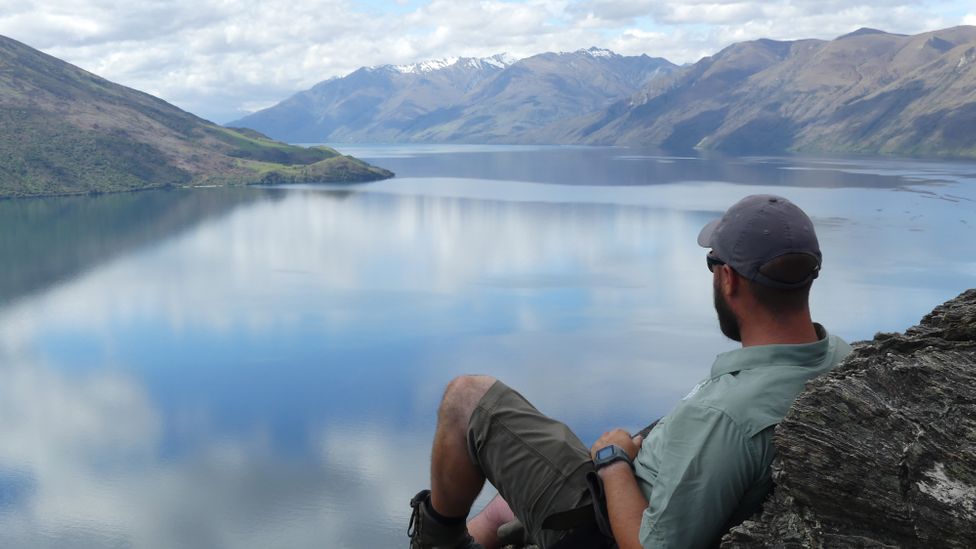 Located in Lake Wanaka, Mou Waho Island is a predator-free sanctuary (Credit: Briar Jensen)