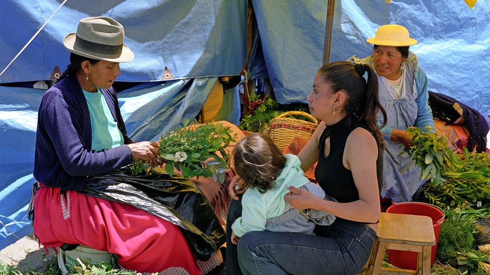 Hundreds of traditional healers in Ecuador provide spiritual cleansings (Credit: Vince Harris/Alamy)