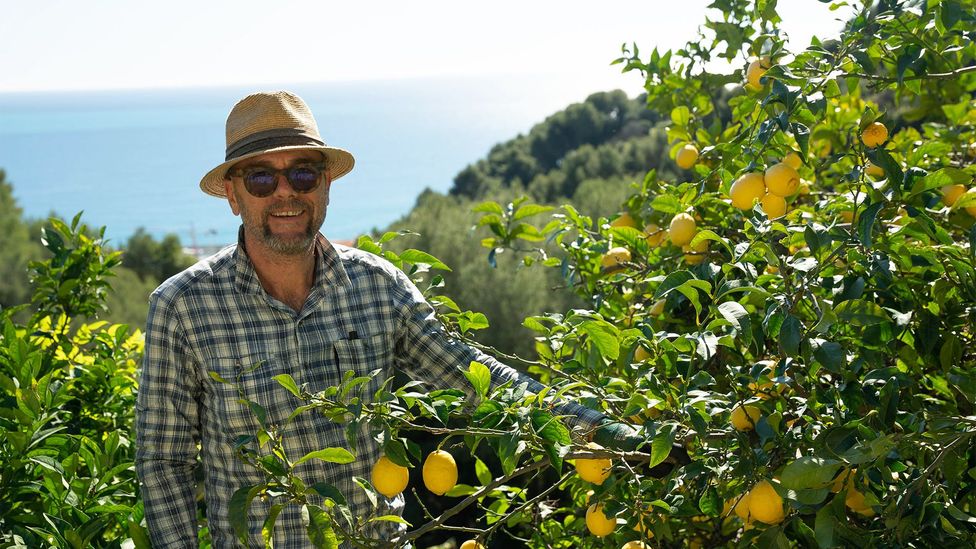 Laurent Gannac (pictured) and his son own 750 Menton lemon trees on 2.5 hectares of land (Credit: Anna Muckerman) Laurent Gannac (pictured) and his son own 750 Menton lemon trees on 2.5 hectares of land (Credit: Anna Muckerman)