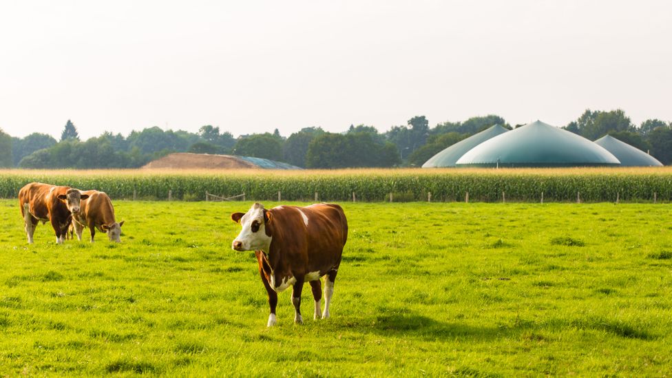 Anaerobic digesters aim to capture the methane from waste – but if any leaks out, it becomes a potent contributor to climate change (Credit: Getty Images)