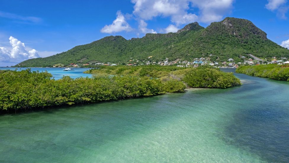 A view over Ashton Lagoon on Union Island in 2019 (Credit: Alamy)