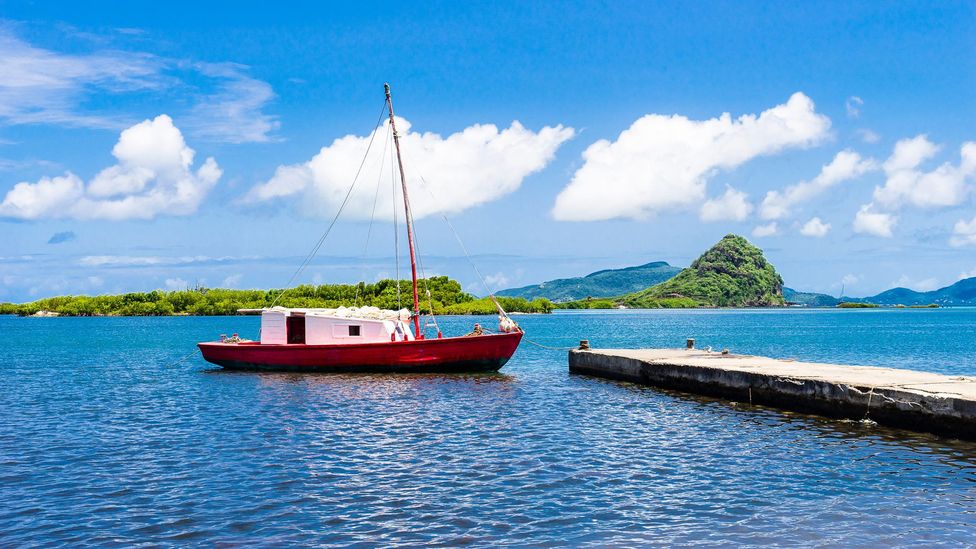 Mangroves on Union Island support a fishery that provide fishermen of Union Island and nearby islands with sea bass, herring, snapper, lobster, conch and shrimp. (Credit: Alamy)