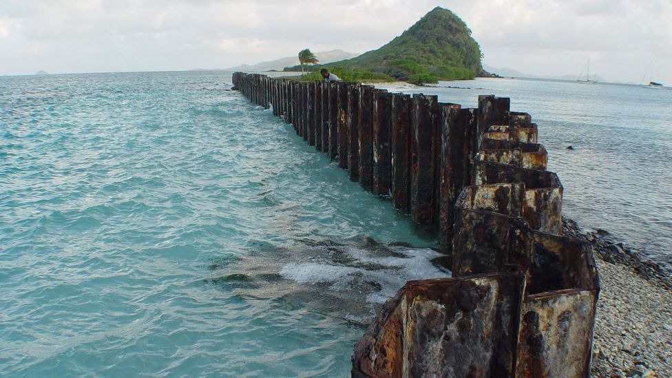 Steel bulkhead in Ashton Lagoon that was removed during the mangrove restoration (Credit: Lisa Sorenson/BirdsCaribbean)