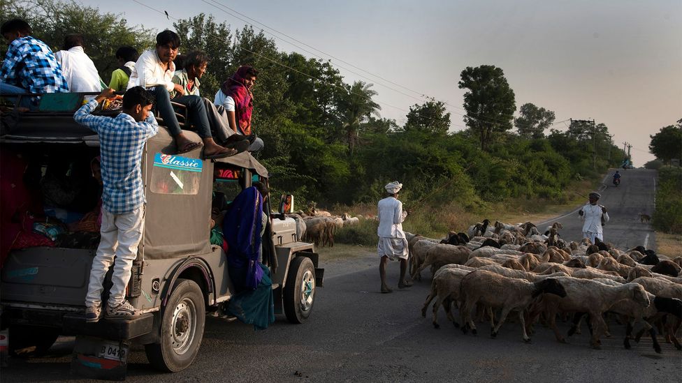 Pushpendra Singh Ranawat: "This human-leopard coexistence can only continue if the next generation of Rabaris carry on their herding tradition" (Credit: Sugato Mukherjee)