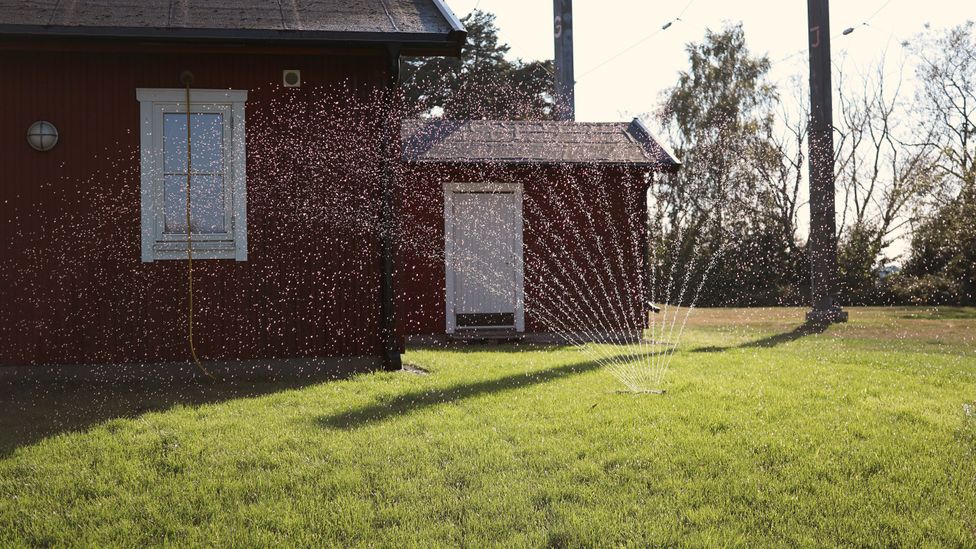 In California, lawns are estimated to swallow up around 40% to 60% of all the domestic water used (Credit: Getty Images) In California, lawns are estimated to swallow up around 40% to 60% of all the domestic water used (Credit: Getty Images)