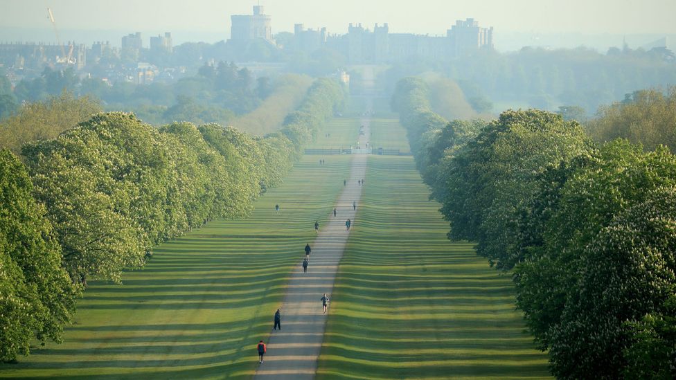 Perfectly manicured lawns have been status symbols for centuries (Credit: Getty Images)