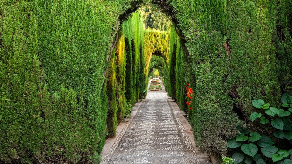 The intricate system brings colour to the famed gardens of the Generalife, the former summer palace next door to the Alhambra. (Credit: Juana Mari Moya/Getty Images)