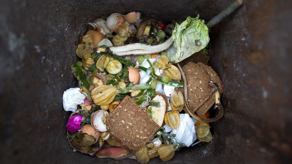 Food waste is responsible for 6% of global greenhouse gas emissions (Credit: Getty Images)