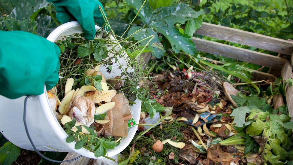 Food waste which is composted releases just 14% the greenhouse gases of food that goes to landfill (Credit: Alamy)