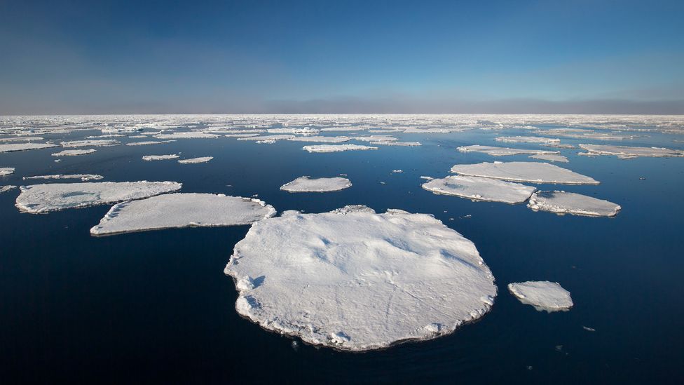 Ice floes in Arctic Ocean (Credit: Arterra/Universal Images Group via Getty Images)