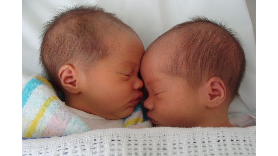 The distinction between identical and fraternal twins is not always clear. Babies Maddie and Mia were thought to be fraternal, but turned out to be identical (Credit: Claire Chow)