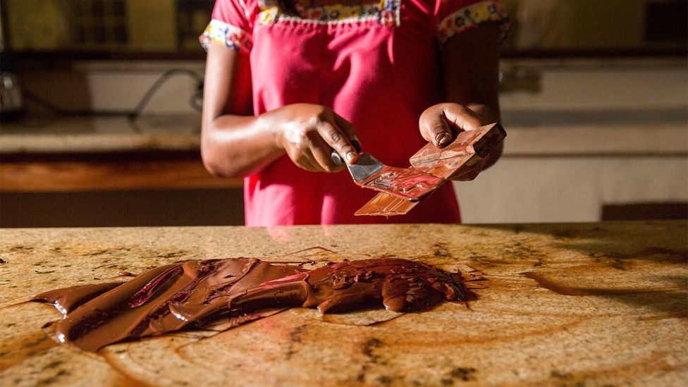 In Belize, a growing number of tour operators and cacao farms offer chocolate experiences (Credit: Cannon Photography LLC/Alamy)