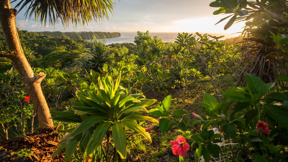 Responsible travellers will be able to unlock exclusive cultural and nature-based experiences (Credit: Colors and shapes of underwater world/Getty Images)