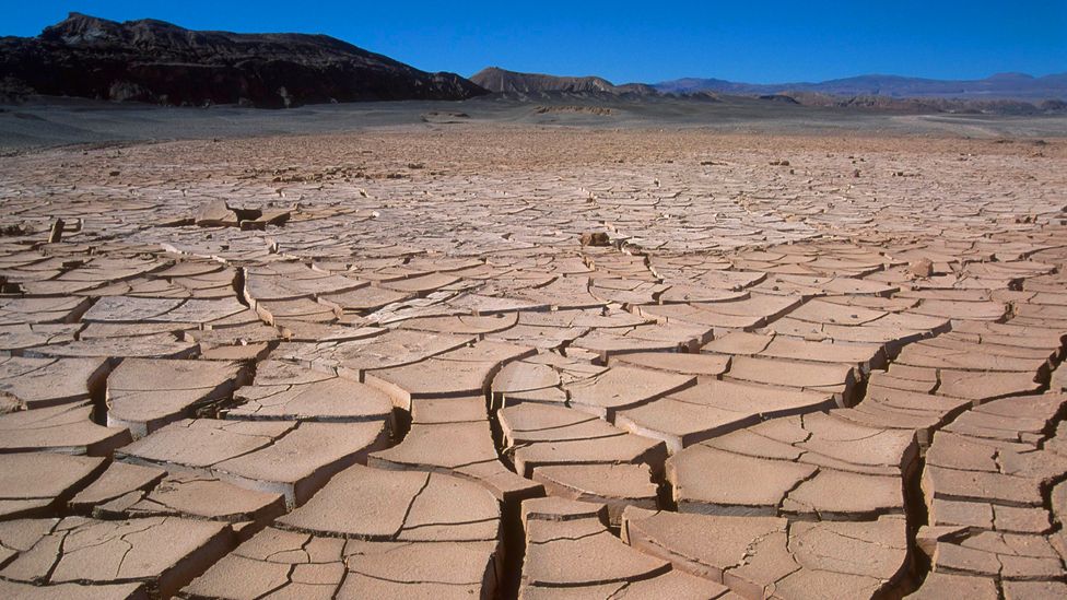 As well as providing emergency assistance in times of crisis, humanitarian organisations can help people to adapt to drought over the longer term (Credit: BrazilPhotos/Alamy)