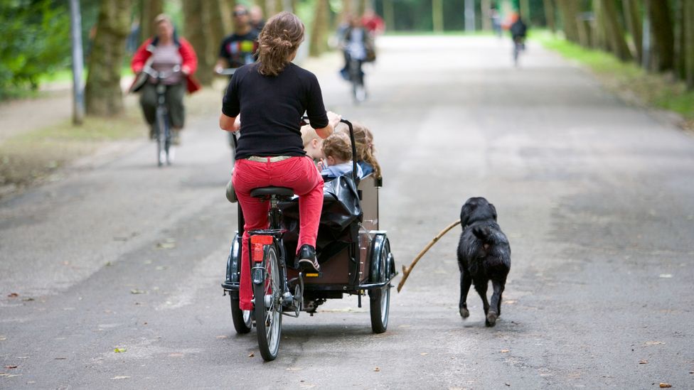 Reducing road space for cars could create more room for pedestrians and cyclists like this cargo bike rider in Amsterdam (Credit: A.Caminada/Alamy)