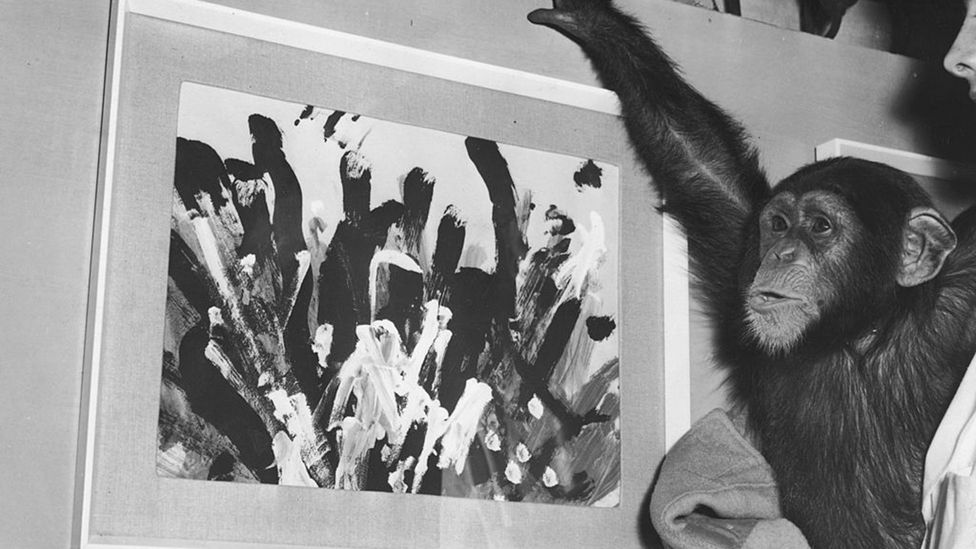 Congo's paintings showed some animals not only liked creating art, but had a sense when projects were finished (Credit: Ron Burton/Keystone/Getty Images)
