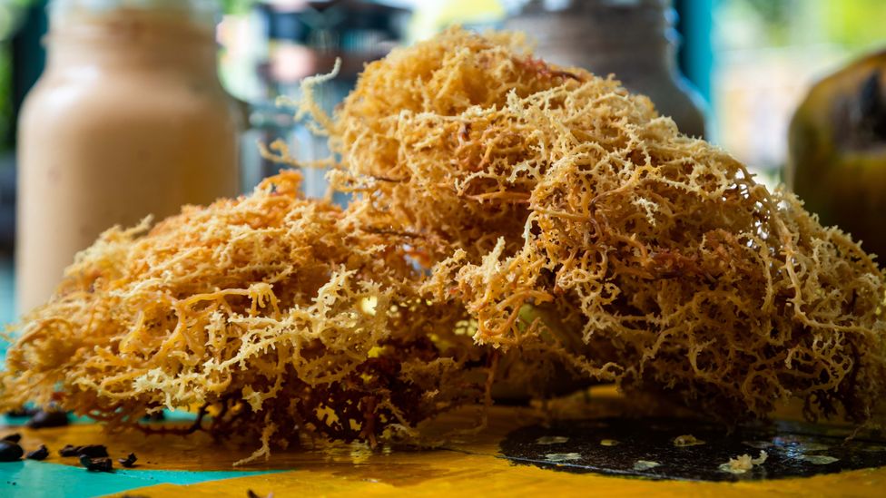 As well as shakes, the seaweed is also used in haircare products, nutritional supplements and condiments (Credit: Benedict Kim/Esoteric Vision Photography)