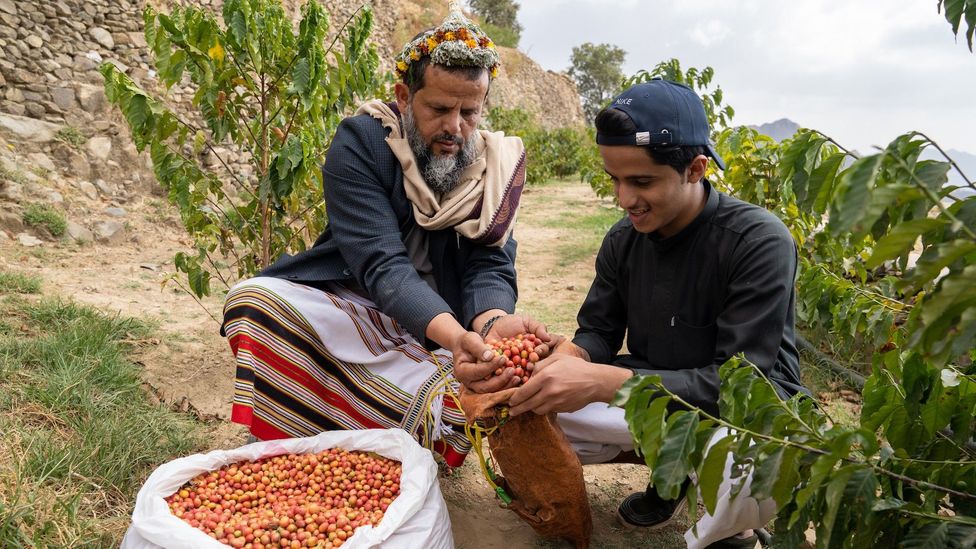 "Coffee is part of my heritage and lineage," said Al-Maliki, whose farm dates back more than 130 years (Credit: Matt Reichel)