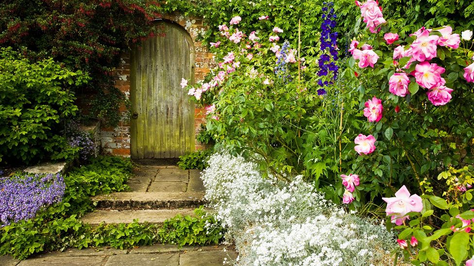 A corner of the Rose Garden at Broadleas Garden Devizes, Wiltshire (Credit: Alamy)