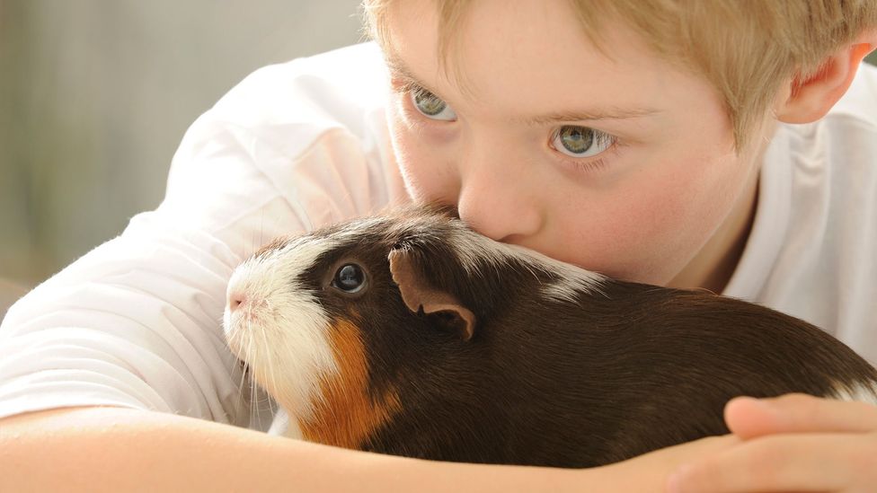 Children often form strong bonds with pets, but the benefits go even further, research suggests (Credit: Getty Images)