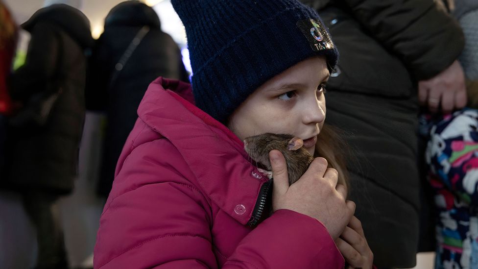 A Ukrainian girl cuddles her pet at Warsaw train station. Children rank pets as some of the most important beings in their lives, research shows (Credit: Getty Images)