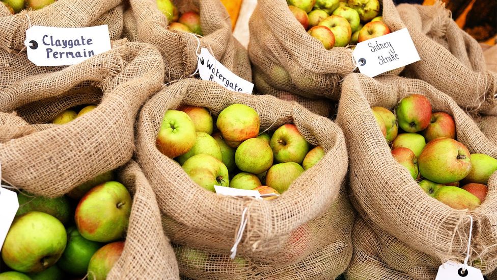 There's a renewed British passion for its rich larder of heritage apples (Credit: JohnGollop/Getty Images)