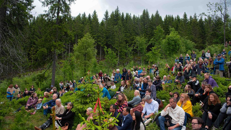 Ceremony attendees sit among the growing trees that will provide the paper for the library (Credit: Future Library/Jola McDonald)