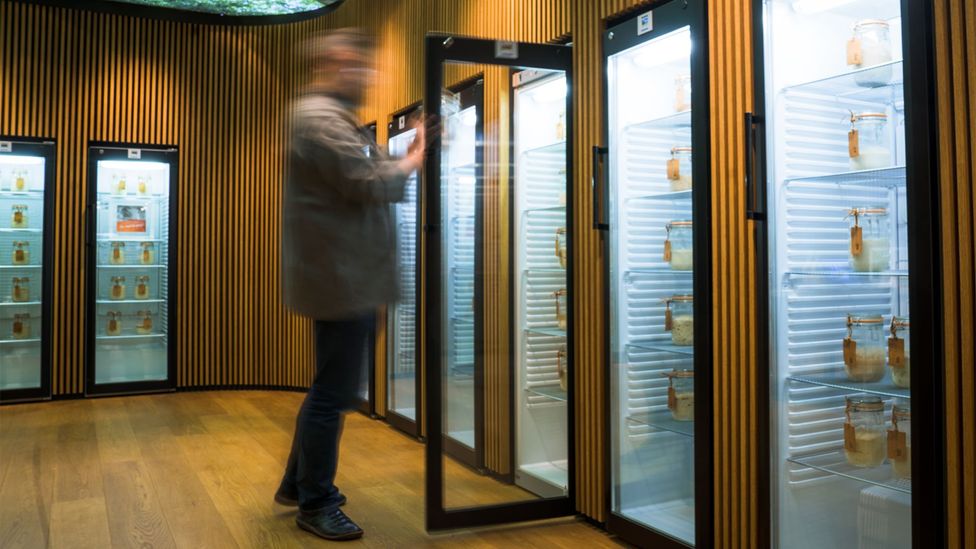 Puratos Center for Bread Flavour in Belgium is the world's only sourdough library (Credit: Puratos Center for Bread Flavour)