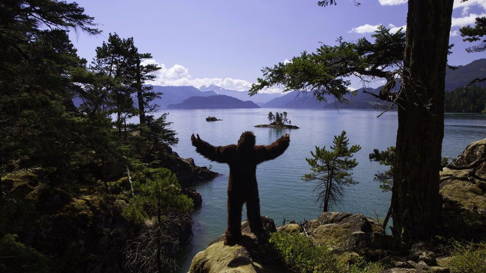There have been 37 notable Sasquatch sightings near the town of Harrison Hot Springs since 1900  (Credit: Tourism Harrison/Graham Osborne)