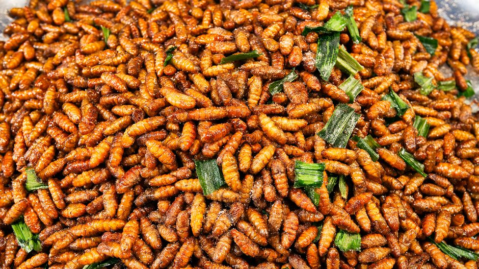 In many parts of Asia and Africa, insects are fried and sold as a popular snack (Credit: Bob Henry/Getty Images)