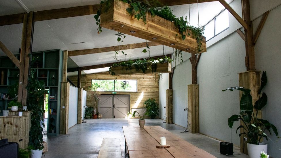 The barn has been redesigned into a spare, modern space with soaring ceilings, hanging plants and an open kitchen (Credit: Amanda Ruggeri/BBC)