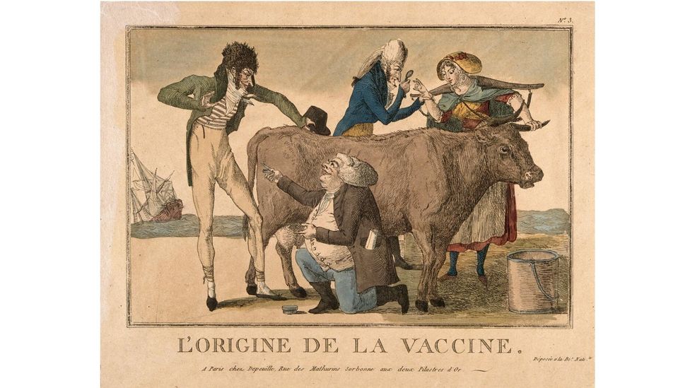 The idea that the smallpox vaccine was based on cowpox has been around for centuries (Credit: Wellcome Collection)