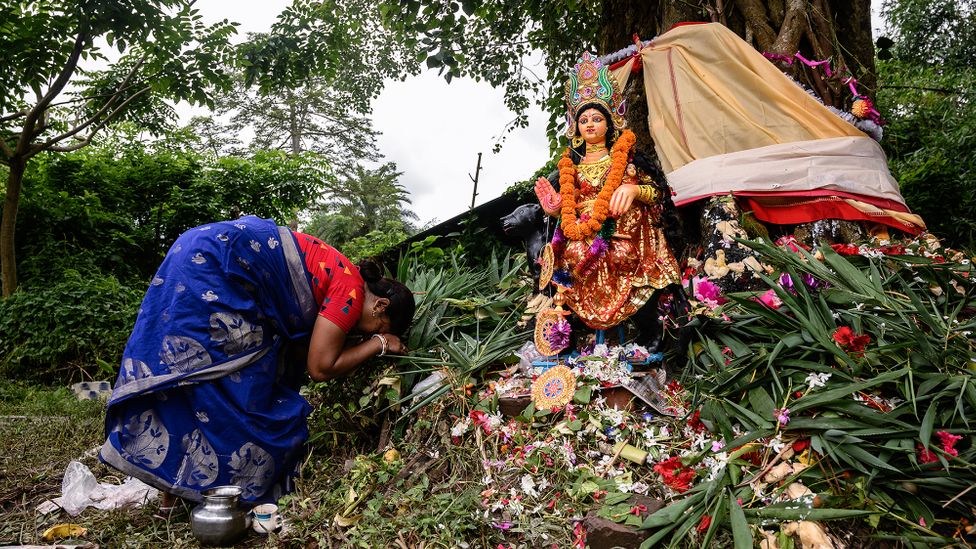 Scientists say religious worship and cultural traditions are playing a critical role in boosting conservation efforts and increasing green cover in India (Credit: Getty Images)