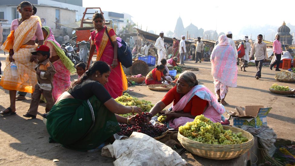 Grapes can cope with a wide range of climatic conditions, except long and harsh winters. They're grown commercially in 90 countries worldwide (Credit: Alamy)