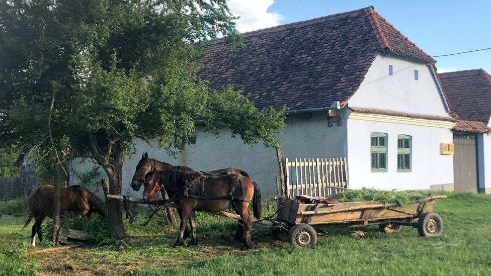 Horse-drawn carts are still the main method of transport in Târnava Mare's Saxon villages (Credit: Keith Drew)