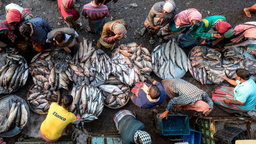 The amount of fish and seafood caught or farmed globally is set to rise to 202 million tonnes in 2030 (Credit: Munir Uz Zaman / Getty Images)
