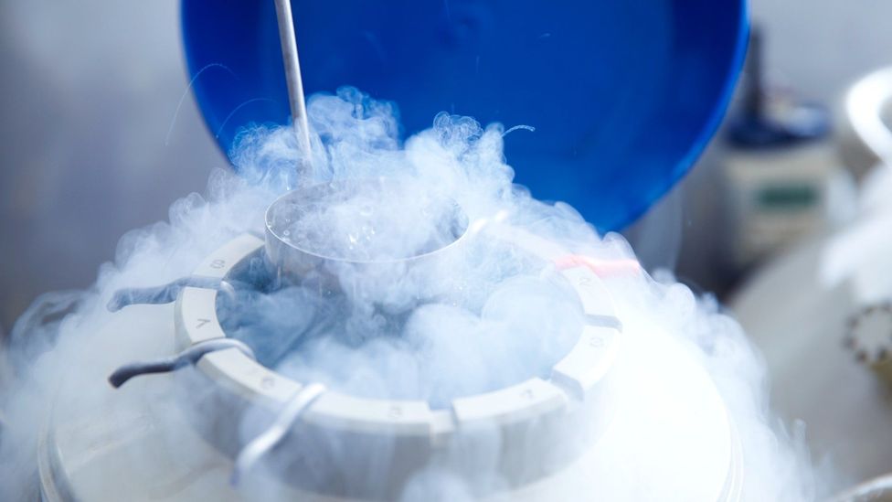 Egg freezing involves collecting a woman's eggs and storing them for use in the future (Credit: Getty)