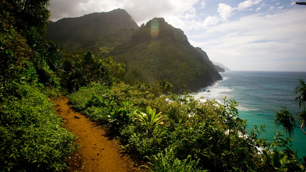 Desde 2019, apenas 900 visitantes por dia podem caminhar pela famosa Trilha Kalalau ao longo da Costa Na Pali de Kauai (Crédito: Cavan Images/Getty Images)